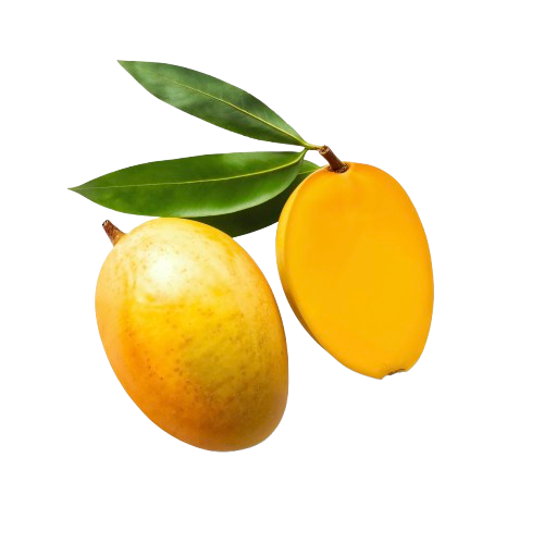 Indian Kesar Mango